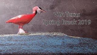 VSA Texas - Spring Break 2019