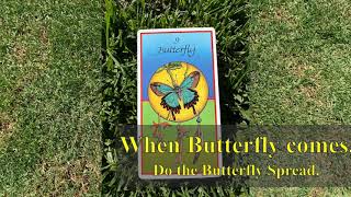 With Butterfly as your Power Guide, you'll have the opportunity to bring an idea into the world.