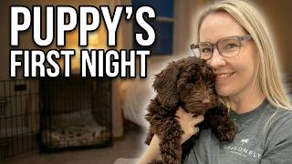 Your Puppy’s First Night at Home (What to Expect)