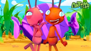 CRAZY CANDY RUSH | 1 Hour of Antiks🐜 | Funny Adventure Cartoons for Kids | Be Brave!
