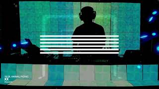 Feel the Rhythm: Melodic DJ Set Live with Visuals & Nanoleaf (May 04, 2025)