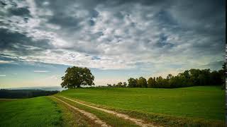 Tree Clouds & Greenry HD Videos