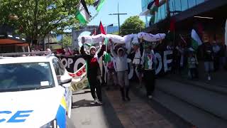 Hundreds march through Central Christchurch for Palestine and a ceasefire in the Gaza conflict