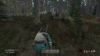 DayZ Experimental | 1.14 Stealth Kill Animation