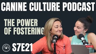 The Power of Fostering | S7E21
