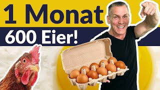 Ich habe 600 Eier in 30 Tagen gegessen! Das ist passiert! Größte Eier-Challenge mit Blutergebnissen!