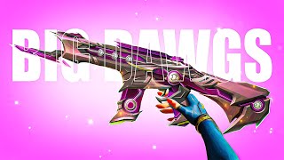 𝑩𝑰𝑮 𝑫𝑨𝑾𝑮𝑺🔥| 𝑽𝒂𝒍𝒐𝒓𝒂𝒏𝒕 𝑴𝒐𝒏𝒕𝒂𝒈𝒆