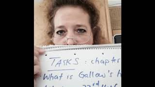 English KS3 Task 3 Chapter 3 The Fault In Our Stars