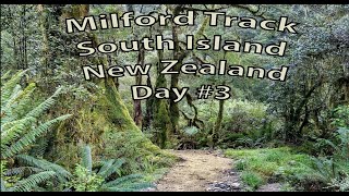Hiking the Southern Milford Mackinnon Experience - Day 3 of 3:  Fun Foto Tips and Trips Episode #19
