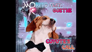 Moritz K. coyote's call (minimalized-mix)