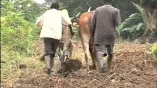 Iganga Life Style