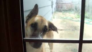 Elsa eating the door