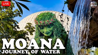 EPCOT's New Attraction: Journey of Water Inspired by Moana | Walt Disney World 2024