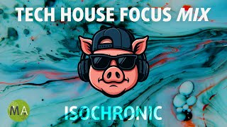 Peak Focus for Complex Tasks Productivity Booster - Tech House Pig Mix