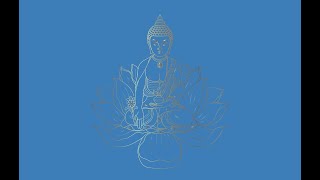 Tranquil Healing 🧿| 3 hours of Buddha Meditation & Zen