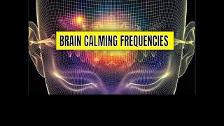 30-Minute Brain Support: Neuroplasticity Enhancement & RIFE Frequency Therapy