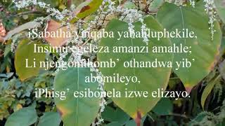 Usuku lokuphumla nolwenjabulo ZULU
