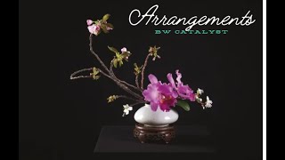 Bw Catalyst-Arrangements