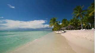 True Happiness Comes from Within – Dhammapada Chapter 15 Explained