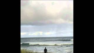 Rivulets - Sheep Among Wolves