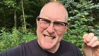 Mark Shepard Vlog: What If Life Is A Virtual Reality Game?