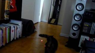 Spazzimodo Loves Lasers