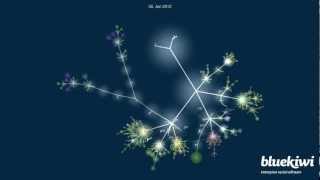 blueKiwi : the poetics of coding