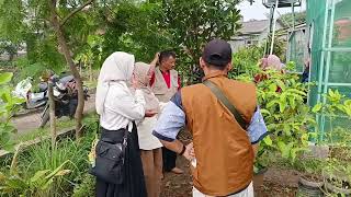 Progress Report 2 - PKM Kelompok Wanita Tani dengan Adaptasi Teknologi Vertical Farming