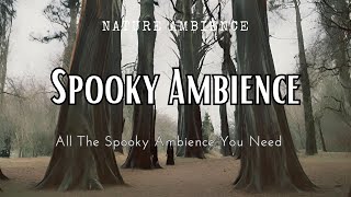 Spooky Ambience : All The Spooky Ambience You Need (Spooky / Scary / Melancholy / Dark )