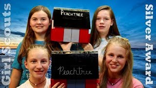 Girl Scout Silver Award