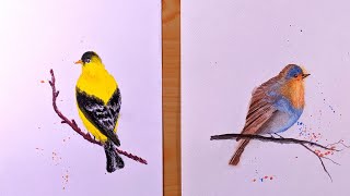 Bird Painting | Oil Pastel & Watercolor | Easy Simple Drawing & Painting Tutorial