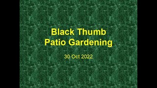 Black thumb patio 221030