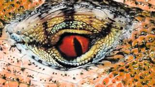 Kazz - On Whispered Dreams 9