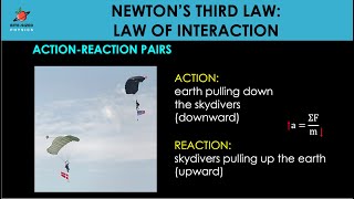 Newton's Third Law of Motion | Law of Interaction | Concepts Explained