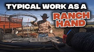 A FULL day of work on the ranch