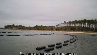 Aquaflow 6 bag cages in feeding position
