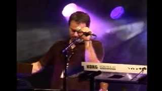 cock robin en concert