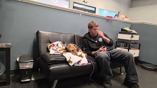 Dylan conditioning session