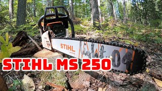 More Work with the New Saw, Stihl MS250