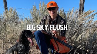 Big Sky Flush | The Flush: Season 15, Episode 3