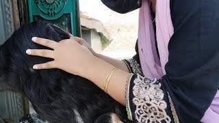 Nits Picking by long hairs by front camera 🤳