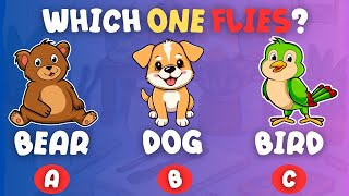 Animal, Color & Food Quiz | Challenge Your Smart Kid