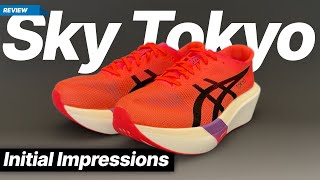 Asics Metaspeed Sky Tokyo - Boundless energy