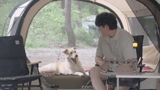Relaxing Day Camping with My Dog ⛺🐶 | Soothing Creek Sounds & Forest Vibes