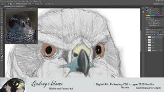 Lindsay Wheeler Live Stream