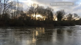 🎣 Fishing the River Severn with four species on the bank including a brace of quality perch