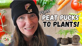 Greenhouse Seed Starting Guide -  From Peat Pucks to Plants!