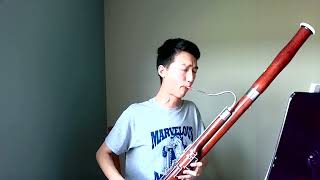 Tchaikovsky 4th Symphony, Bassoon Solo