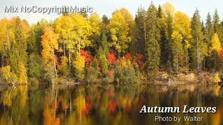 Think U know - Ikson (Mix NoCopyrightMusic)