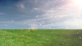 Music for meditation. Meditation - Peace - Harmony - Balance - Concentration. Instrumental music.